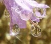 Quantum Update of 3D Reality NOW!!!