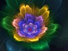 Виды Космической Энергии!!! Или Земля создана для Процветания!!!