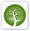 Сохранение Мирового Культурного Наследия. Программа ЮНЕСКО на 2016 год. (UNESCO PROGRAMS 2016) (The Tree of Life and Cultural Heritage) The Tree of Life and…