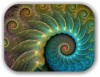 The Cosmic Spiral of EVOLUTION