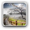 Даосская Алхимия Преображения ( The Ancient Alchemy of TAO...) (DAO GARDEN) DAO GARDEN