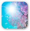 ТРАНСПЕРСОНАЛЬНАЯ ПСИХОЛОГИЯ САМОРАЗВИТИЯ ЛИЧНОСТИ (Transpersonal Psychology in Human Design) (Spring in BLOSSOM) Spring in BLOSSOM
