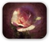 Суммарный Эквивалент Свето-Звуковых Вибраций... ( The Cosmic Equivalent of Luminous Vibrations) (The Cosmic Rose) The Cosmic Rose