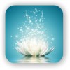 Закон Универсальной ГАРМОНИИ ( The Law of Universal HARMONY) (The Lotus of Universal Harmony) The Lotus of Universal Harmony