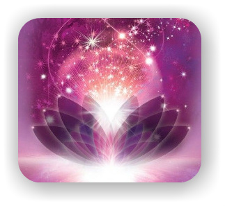 Lotus of Healing Essentials