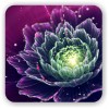 ДРЕВНЕЙШАЯ ТЕОСОФИЯ ДАО (СФЕРА ЭКВИЛИБРИУМА)- Ancient TAO Theosophy (Isis Flower) Isis Flower