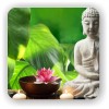 Древнейшая История Земли и Создание Новой Реальности. (In Meditation. Siddhi Dzen Mastering) In Meditation. Siddh…