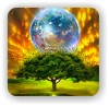 The Planetary Tree of Life!!!