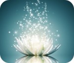 Shifting Consciousness - by Kate A Spreckley