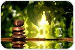 New Issue of Essential Wellness September/October 2015